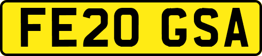 FE20GSA