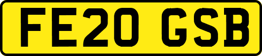 FE20GSB