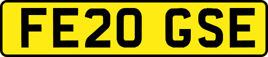 FE20GSE
