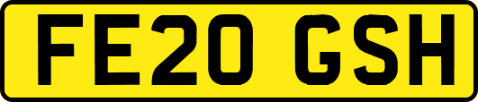 FE20GSH