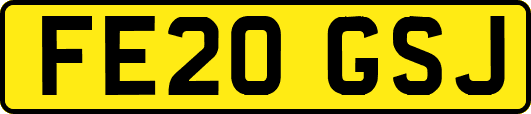 FE20GSJ