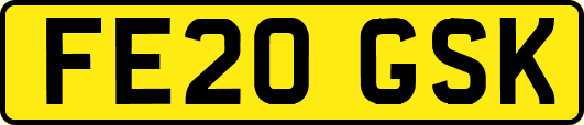 FE20GSK