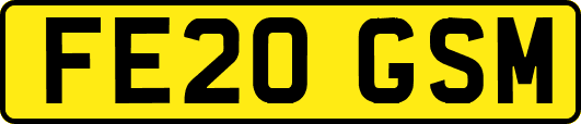 FE20GSM