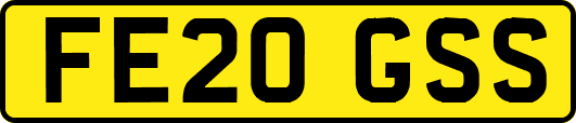 FE20GSS