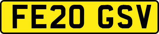 FE20GSV