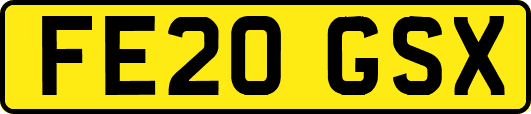 FE20GSX