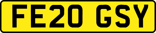 FE20GSY