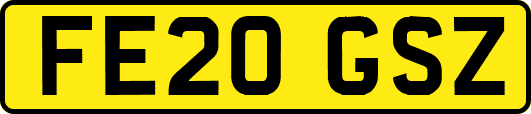 FE20GSZ