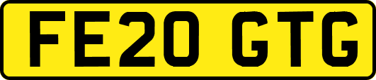 FE20GTG