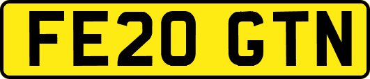 FE20GTN