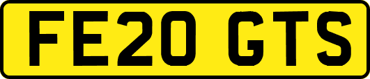 FE20GTS