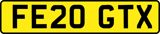 FE20GTX