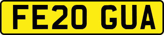 FE20GUA