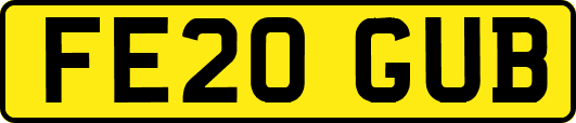 FE20GUB
