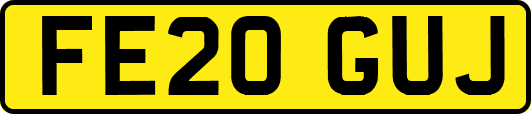 FE20GUJ
