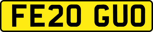 FE20GUO