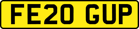 FE20GUP