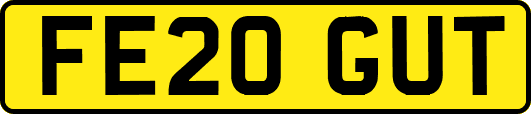 FE20GUT