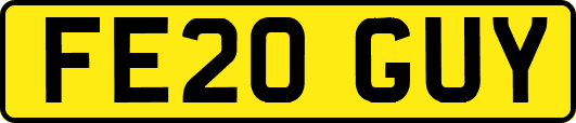 FE20GUY