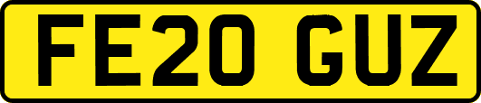 FE20GUZ