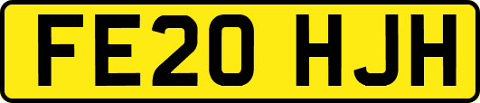 FE20HJH