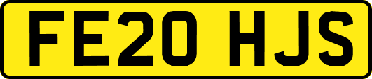 FE20HJS