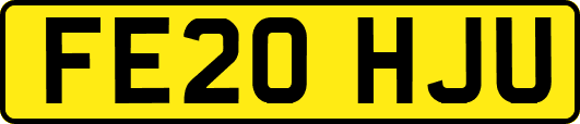 FE20HJU