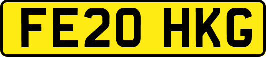 FE20HKG