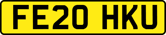 FE20HKU