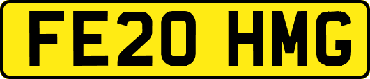 FE20HMG