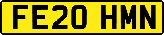 FE20HMN