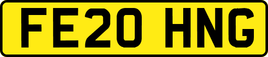 FE20HNG