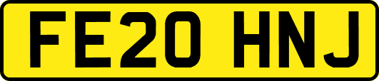 FE20HNJ