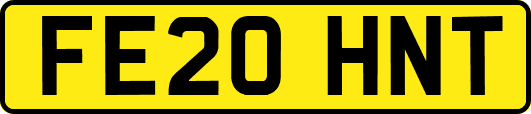 FE20HNT