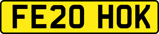 FE20HOK