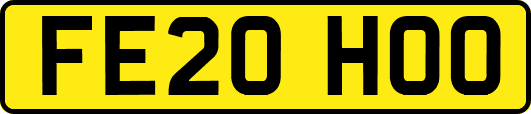 FE20HOO