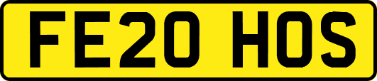 FE20HOS