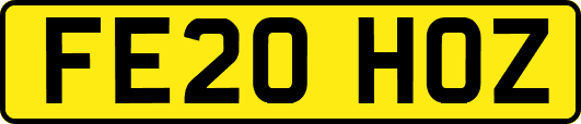 FE20HOZ