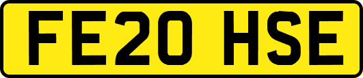 FE20HSE