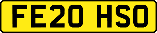 FE20HSO