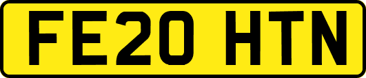 FE20HTN