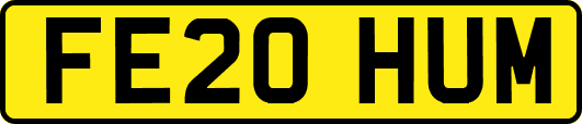 FE20HUM