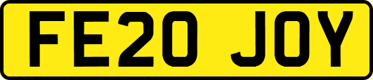 FE20JOY