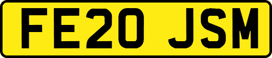FE20JSM