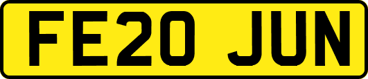FE20JUN