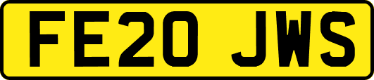 FE20JWS