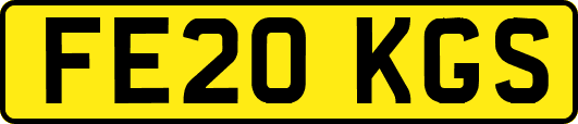 FE20KGS