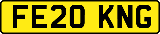 FE20KNG