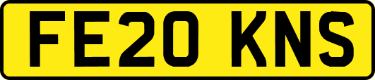 FE20KNS