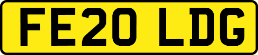 FE20LDG